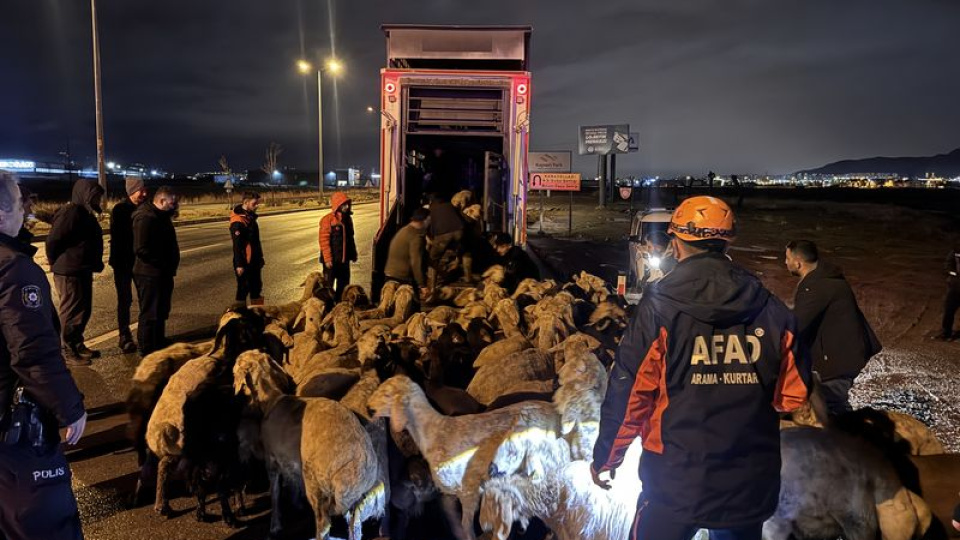 Kayseri'de taşkın riski: 200 hayvan tahliye edildi