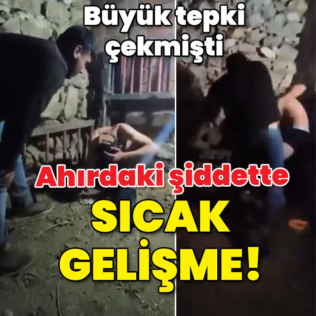 Tepkiye neden olmuştu... Ahırda işkenceye yeniden gözaltı!