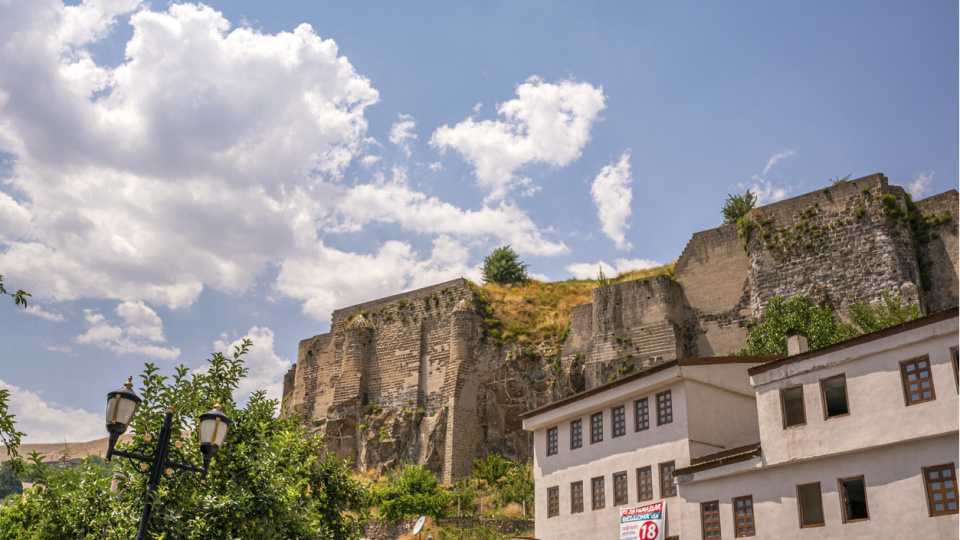 Bitlis'in neyi meşhur?