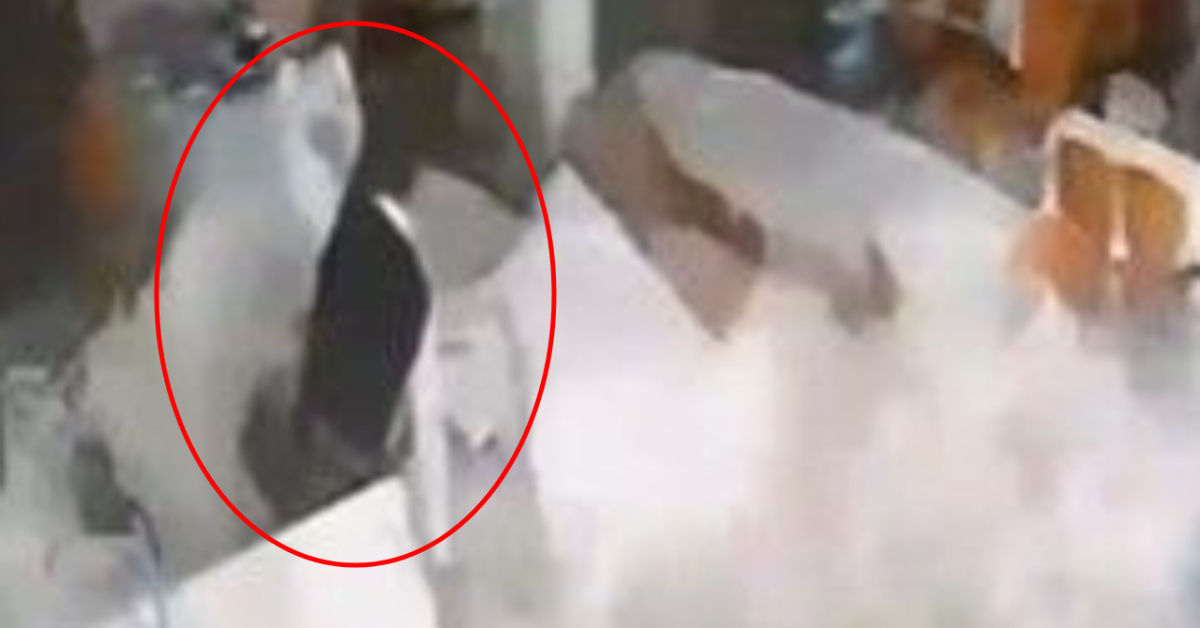 Antalya'daki Dev Dalga Olayı - Restorana Sürüklenen Masa ve Sandalyeler