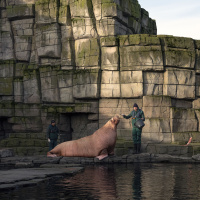 'Panorama: Hayaller ve Yerler' İstanbul Modern'de