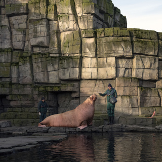 'Panorama: Hayaller ve Yerler' İstanbul Modern'de