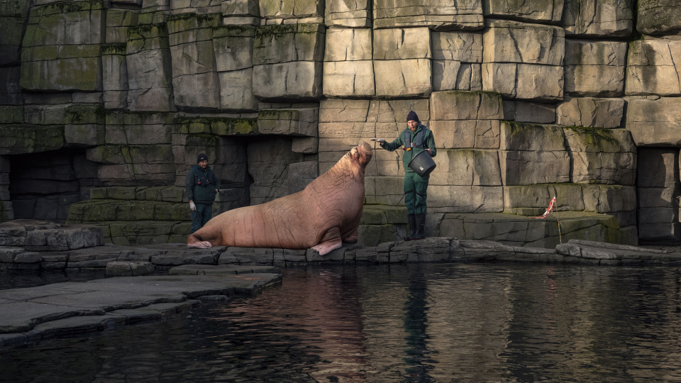 'Panorama: Hayaller ve Yerler' İstanbul Modern'de
