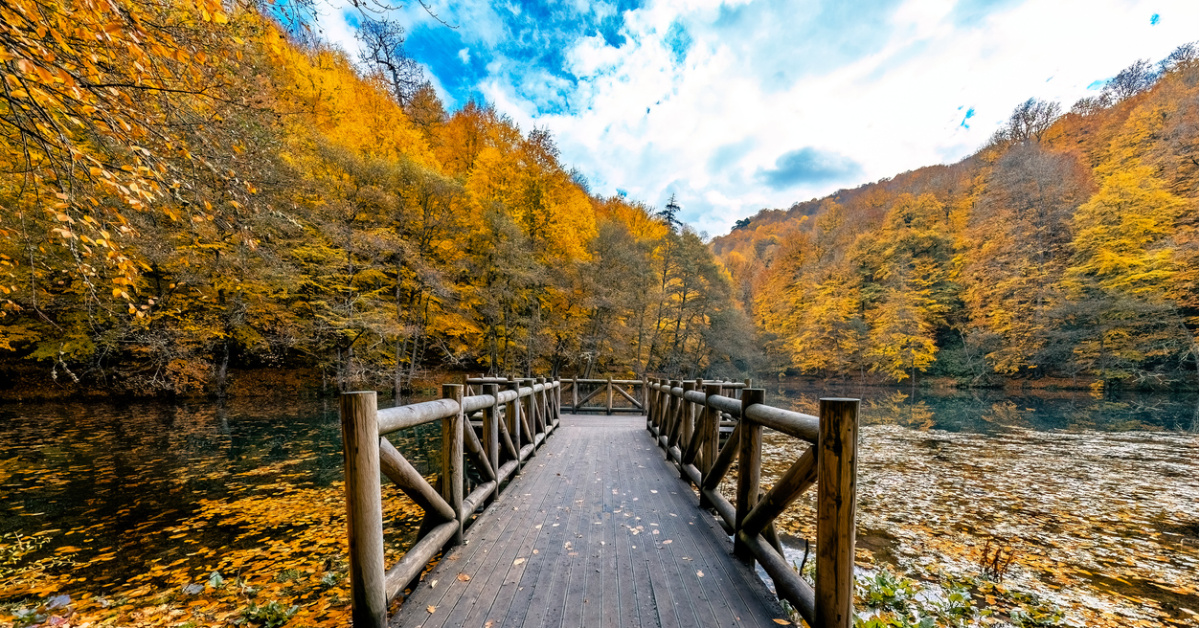 Bolu'nun neyi meşhur? Bolu'da ne yenir, ne alınır, neresi gezilir?