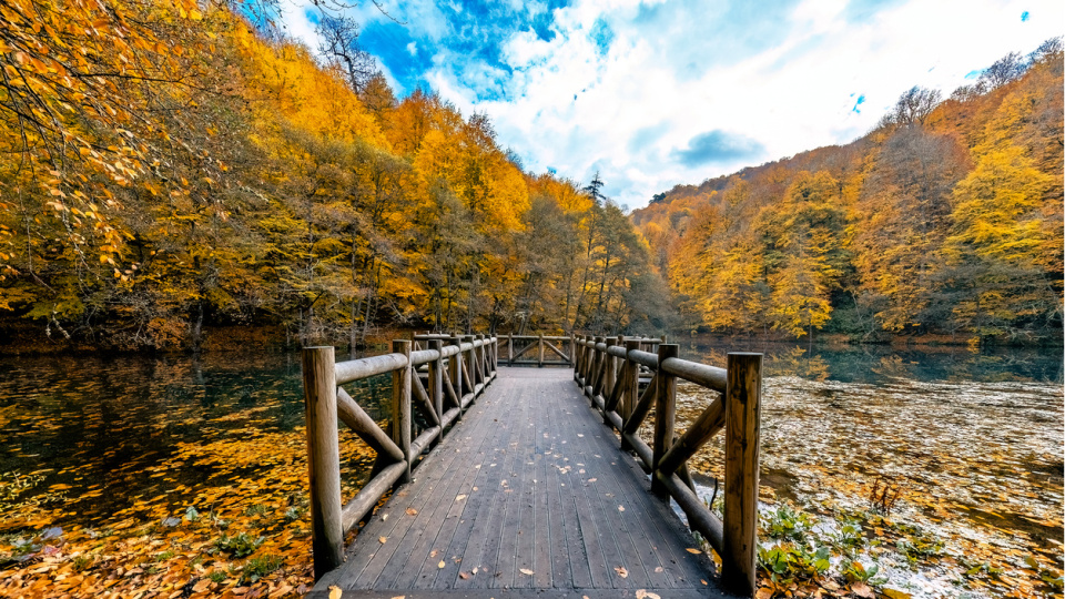 Bolu'nun neyi meşhur?