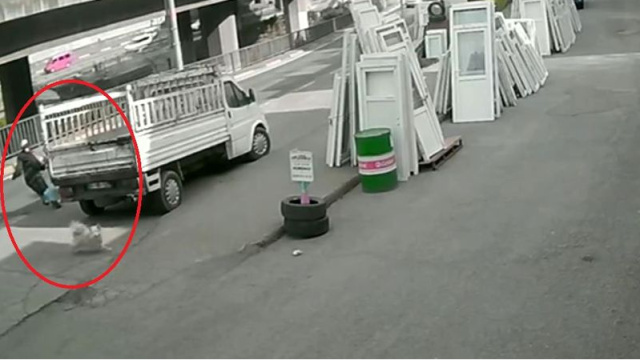 Dehşet kaza! Köpekten kaçan üniversiteli ağır yaralandı!