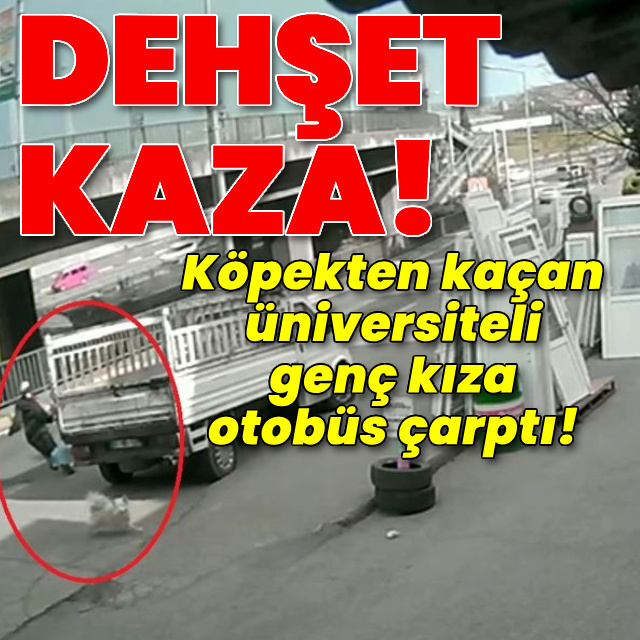 Dehşet kaza! Köpekten kaçan üniversiteli ağır yaralandı!