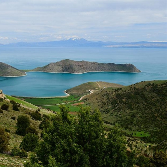 Van'ın neyi meşhur?