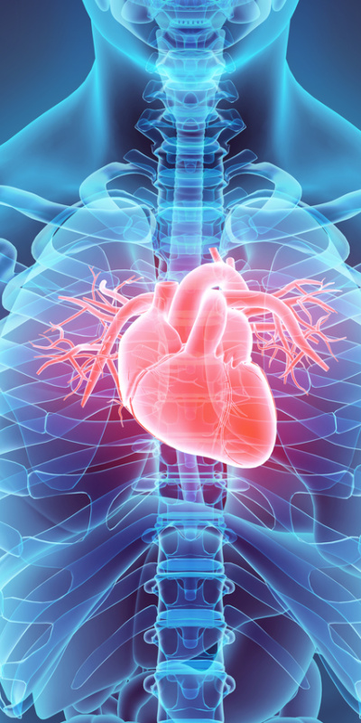 Tok karnına soğuk havada kalanlara uyarı!