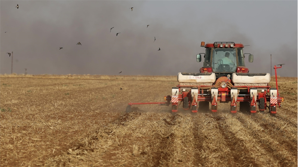 Tarımsal girdi fiyat endeksi aralıkta arttı