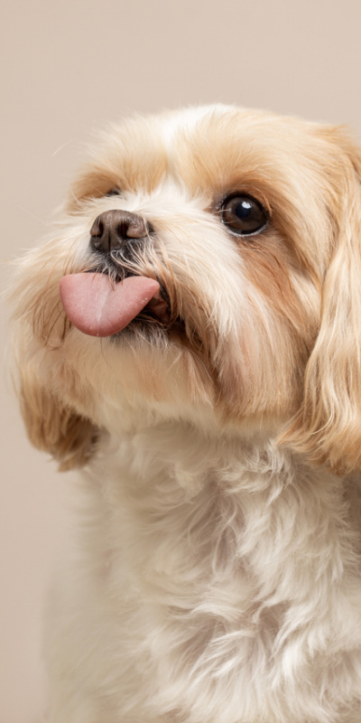 15 ırk büyük risk altında!