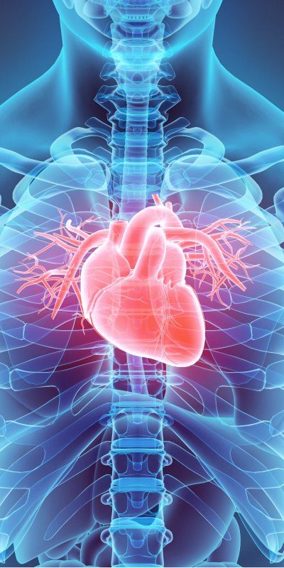 Kalp damarları 10 saniyede görüntüleniyor, teşhis kolaylaşıyor