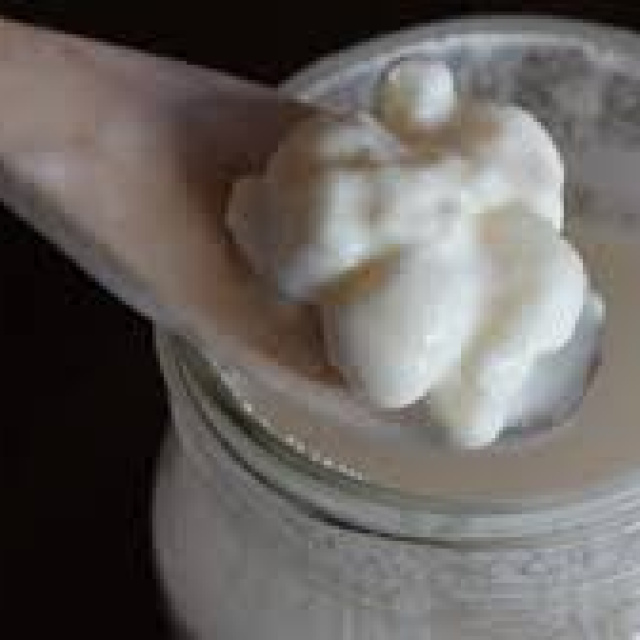 Evde kefir nasıl yapılır?
