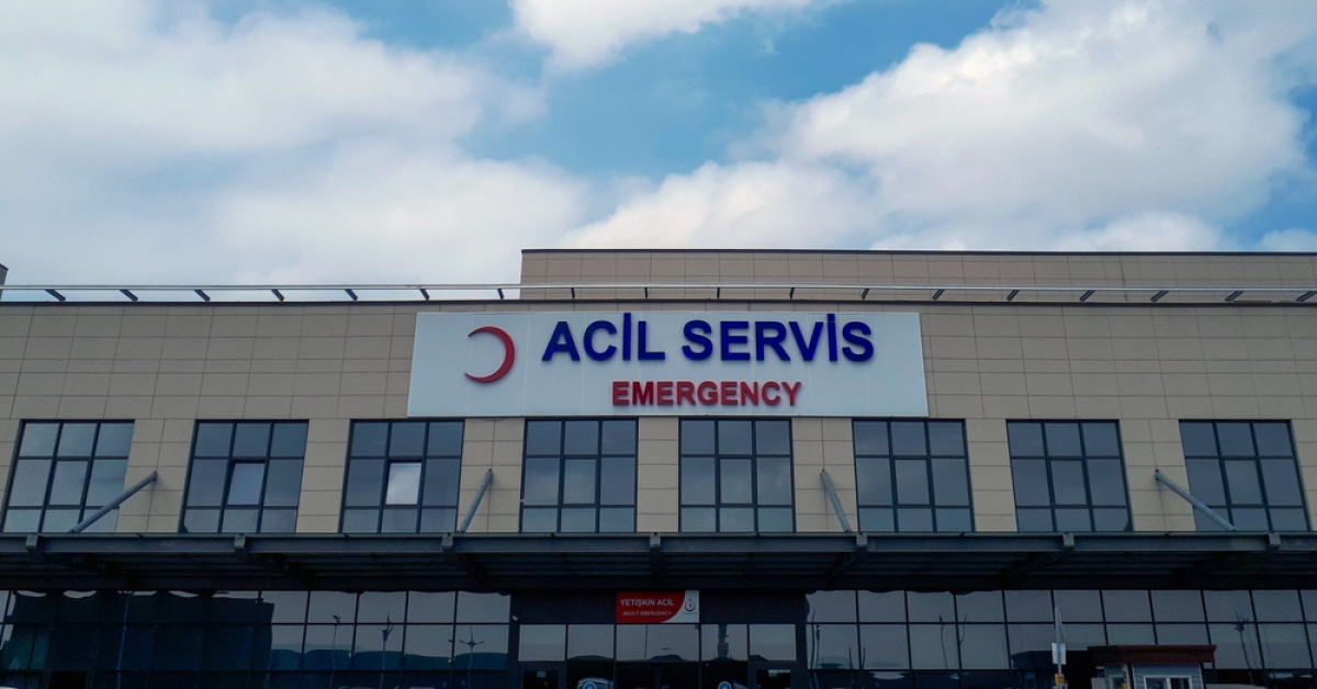 İstanbul'da 124 bin kuduz riskli temas başvurusu