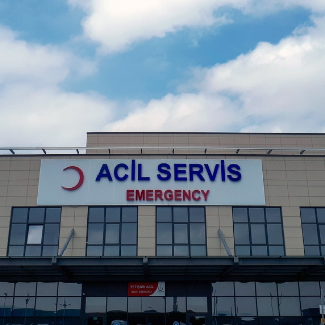 İstanbul'da 124 bin kuduz riskli temas başvurusu