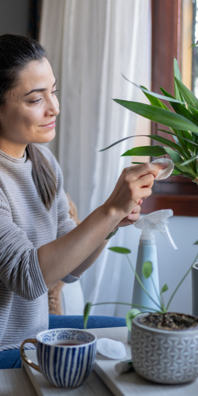 Evde bitki: Dekor mu, terapi mi?