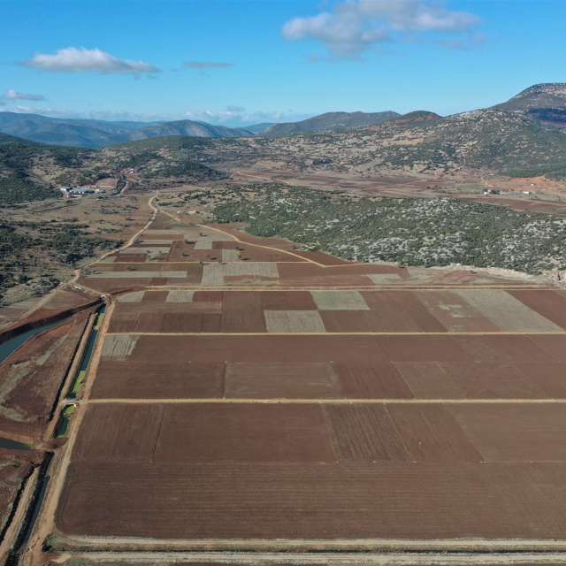 Yargıtay'dan ortak tapulu arsalar için emsal karar