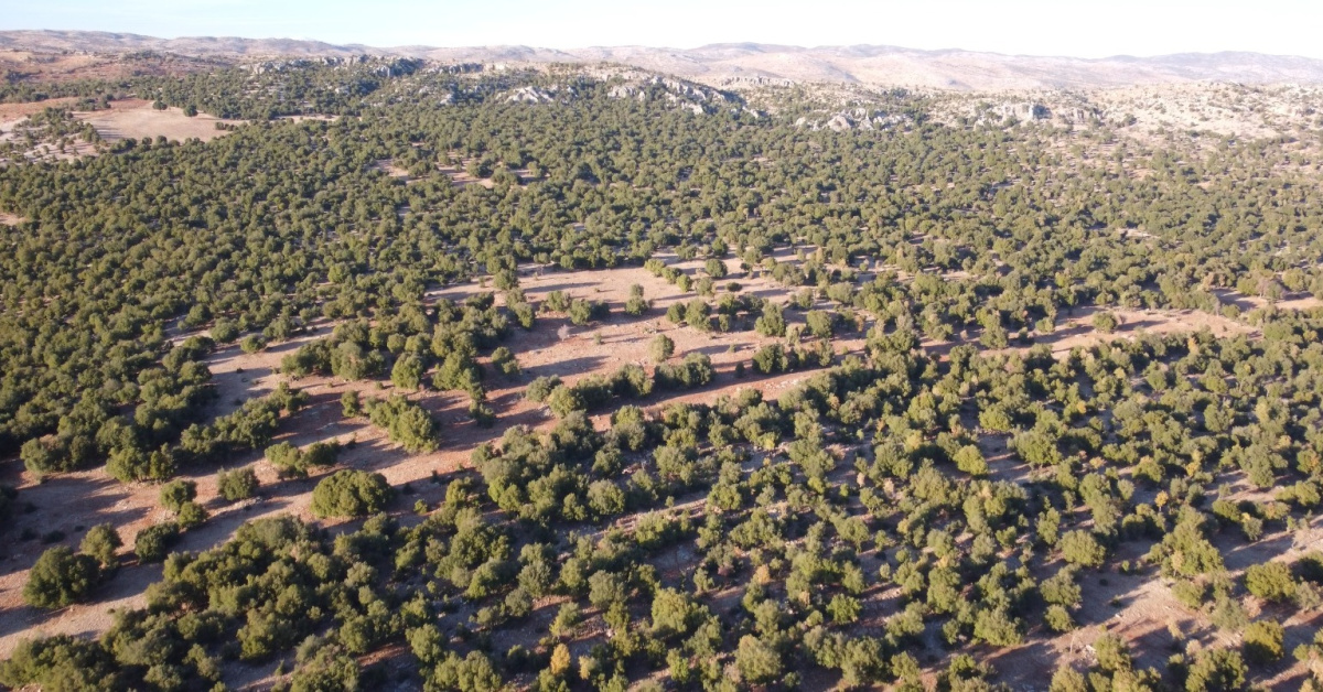 Deprem bölgesine 1,5 milyon Euro'luk destek