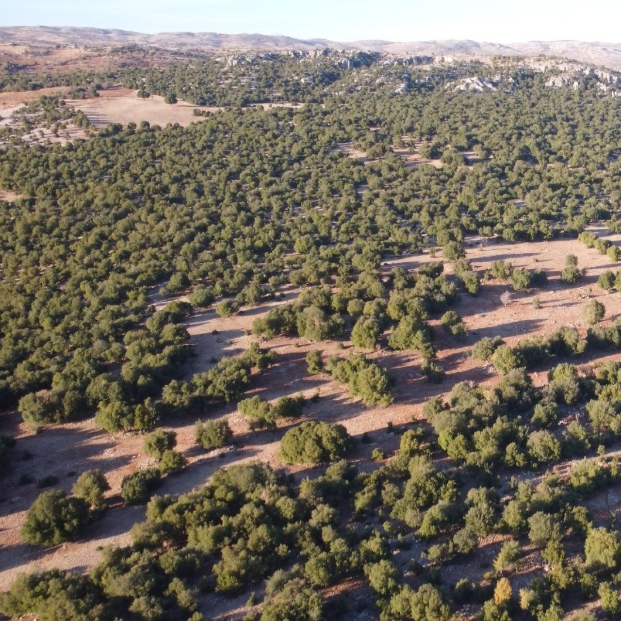 Deprem bölgesine 1,5 milyon Euro'luk destek