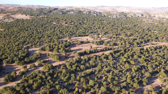 Deprem bölgesine 1,5 milyon Euro'luk destek