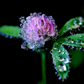 İkinci cemre ne zaman ve nereye düşecek?