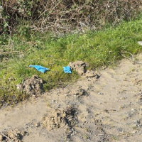 Çinli iş insanı İstanbul'da öldürüldü! Şüpheliler Çin'de yakalandı!