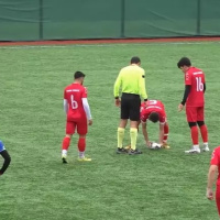 Topun çarptığı martının akıbeti belli oldu