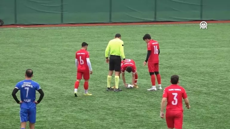 Topun çarptığı martının akıbeti belli oldu