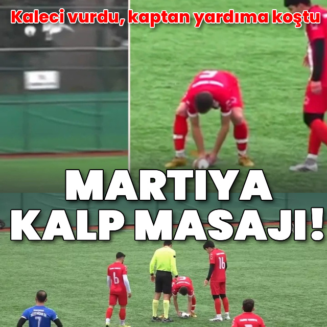 Topun çarptığı martının akıbeti belli oldu