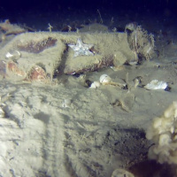 51 yıl önce düşmüştü! Parçaları bulundu