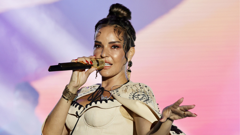 Bekârlık açıklaması