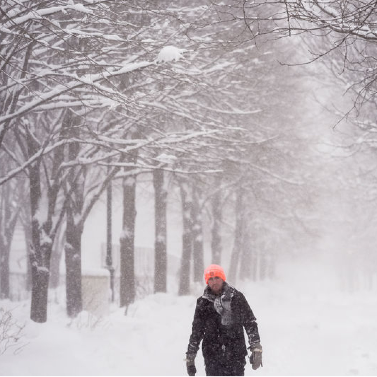 ABD'de kar fırtınası hayatı durma noktasına getirdi!