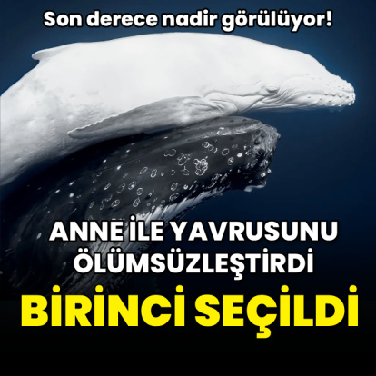 Anne ile yavrusunu ölümsüzleştirdi! Birinci seçildi