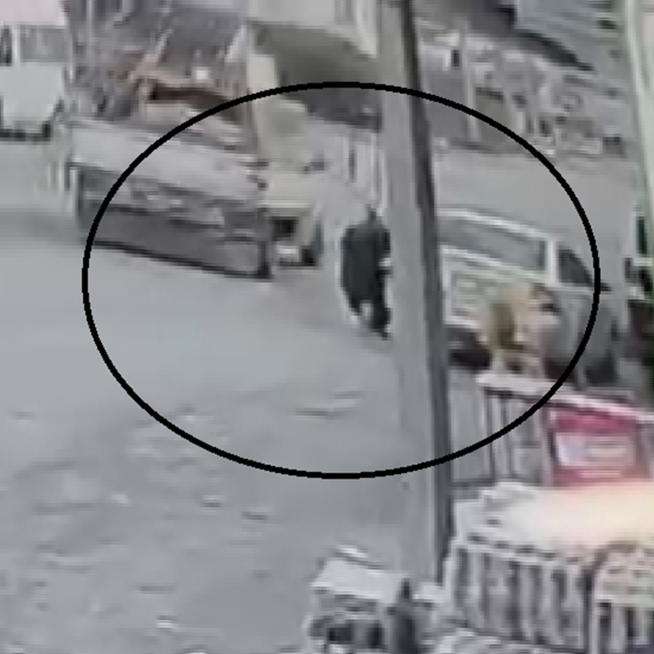 Pikabın açılan kapağı çarptı!