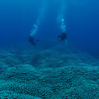 Anne - kız keşfetti! Dünyanın en büyüğü