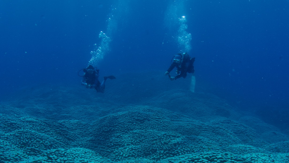 Anne - kız keşfetti! Dünyanın en büyüğü