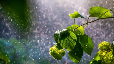 İkinci cemre ne zaman düşecek?