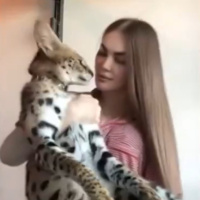 Simba'nın Ukraynalı sahibi konuştu