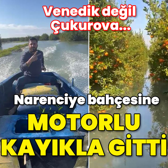 Venedik değil Çukurova... Narenciye bahçesine motorlu kayıkla gitti!