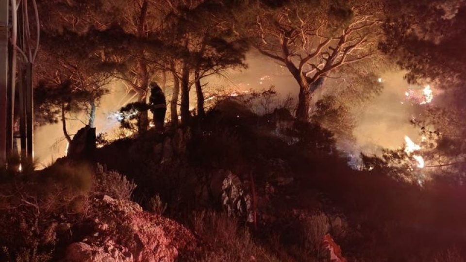 Bodrum'da ormanda çıkan yangın söndürüldü