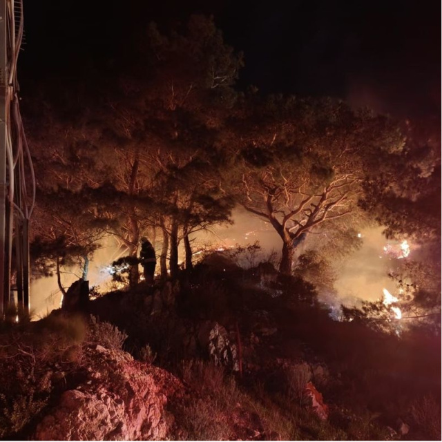 Bodrum'da ormanda yangın çıktı