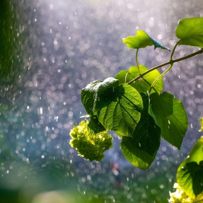 İkinci cemre ne zaman düşecek?