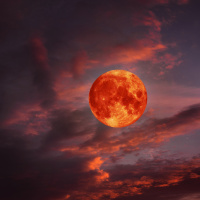 2 - 8 Mart haftalık burç yorumları