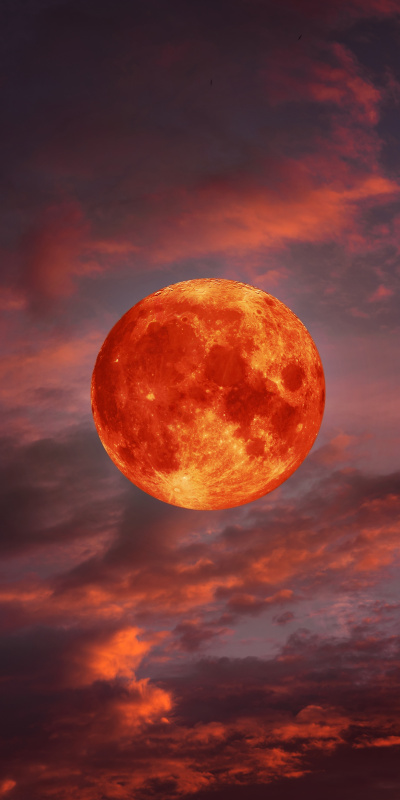 2 - 8 Mart haftalık burç yorumları