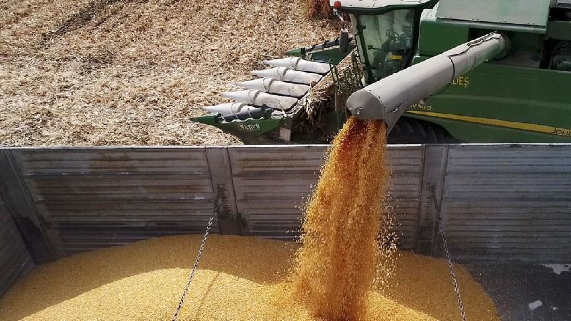 TİGEM 732 Ton Yem Alımı İçin İhale Tarihini Açıkladı