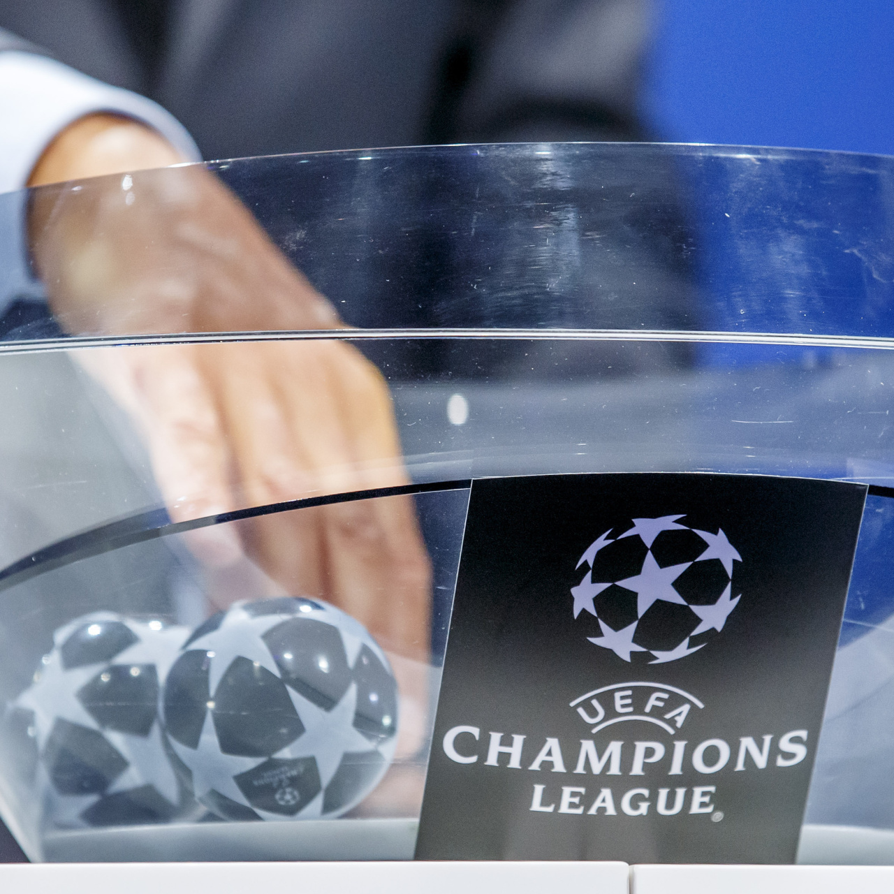 Avrupa'da kura heyecanı!