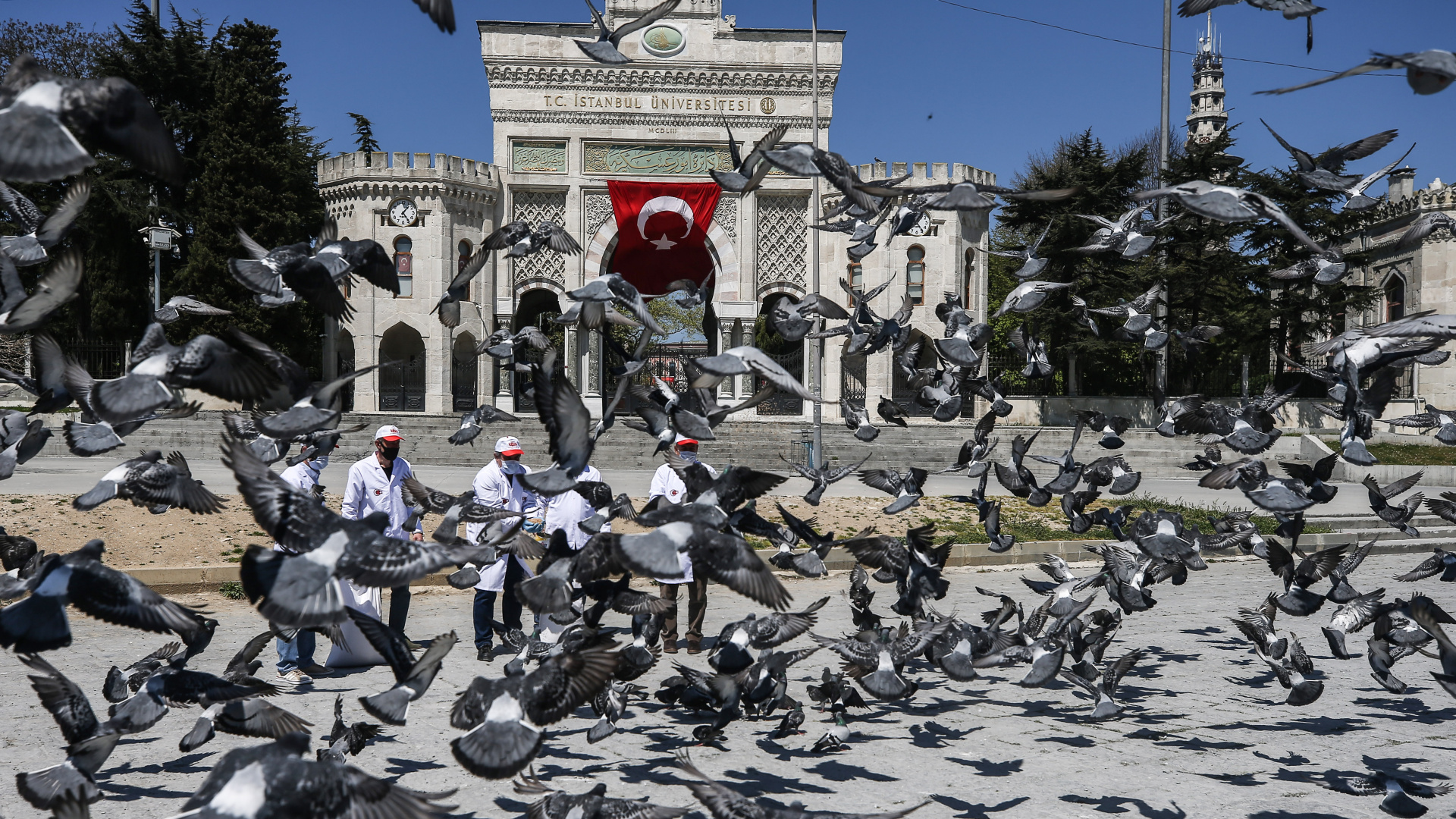 2026 öğrenci affı! Son dakika haberi! AK Parti'den af çalışması