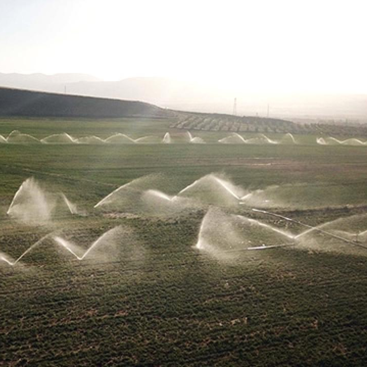 “Suyu verimli yönetmek gıdanın geleceğini korumaktır”