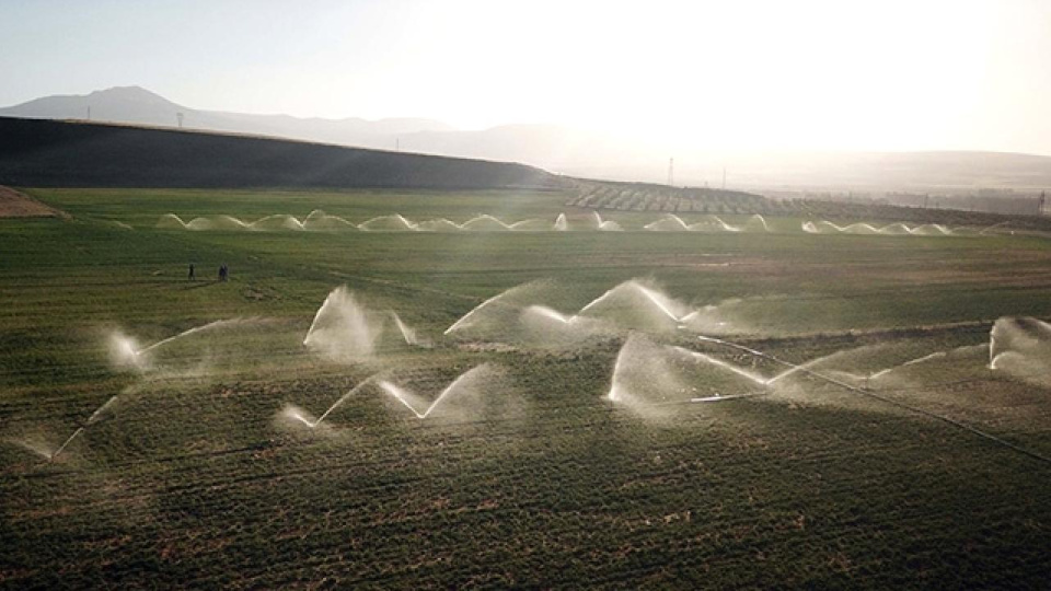 "Suyu verimli yönetmek gıdanın geleceğini korumaktır"