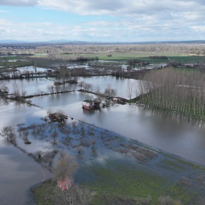 Meriç'te pik seviyesi geride kaldı